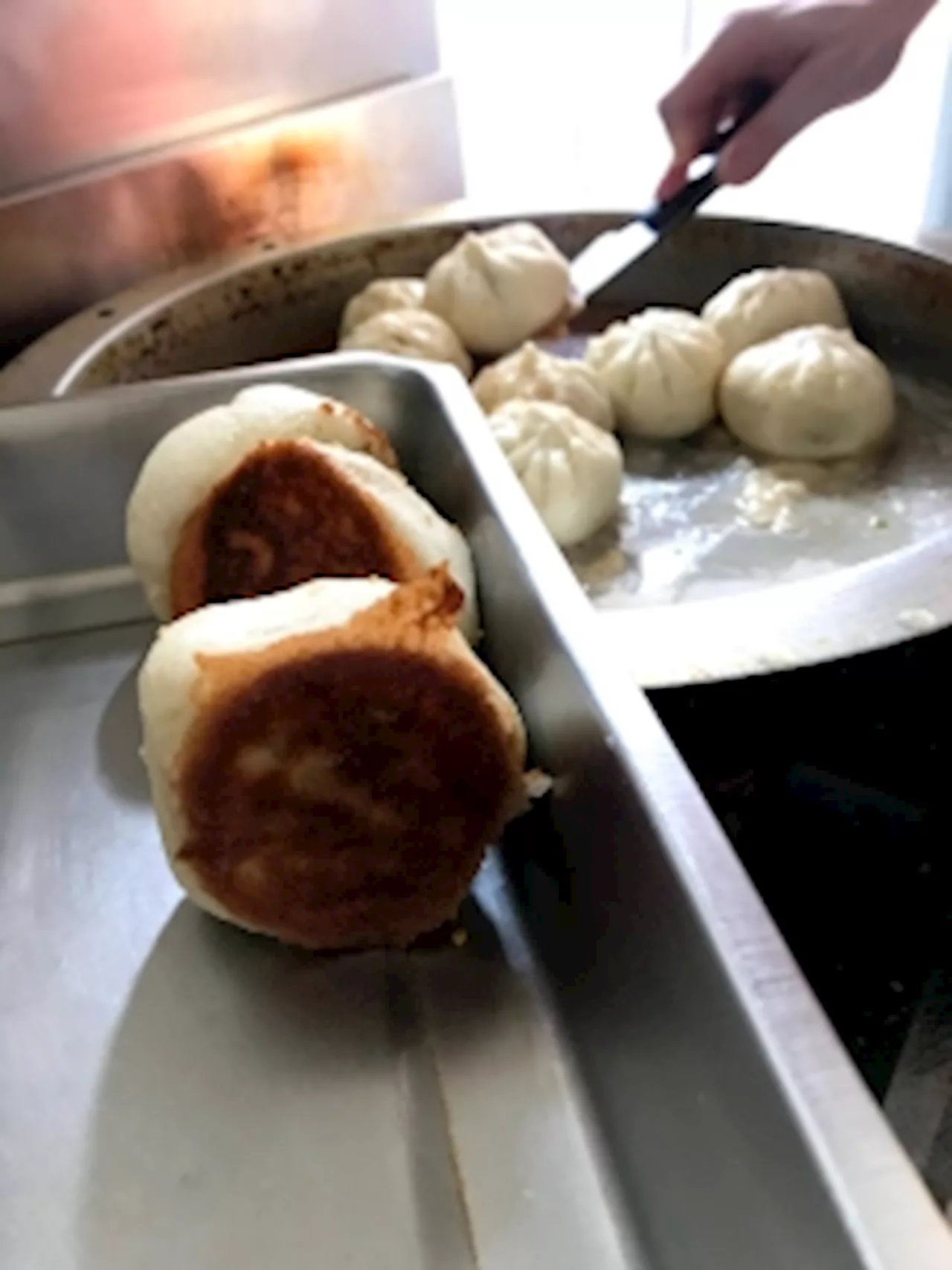 18 Reasons: Soup Dumplings: Xiao Long Bao & Sheng Jian Bao