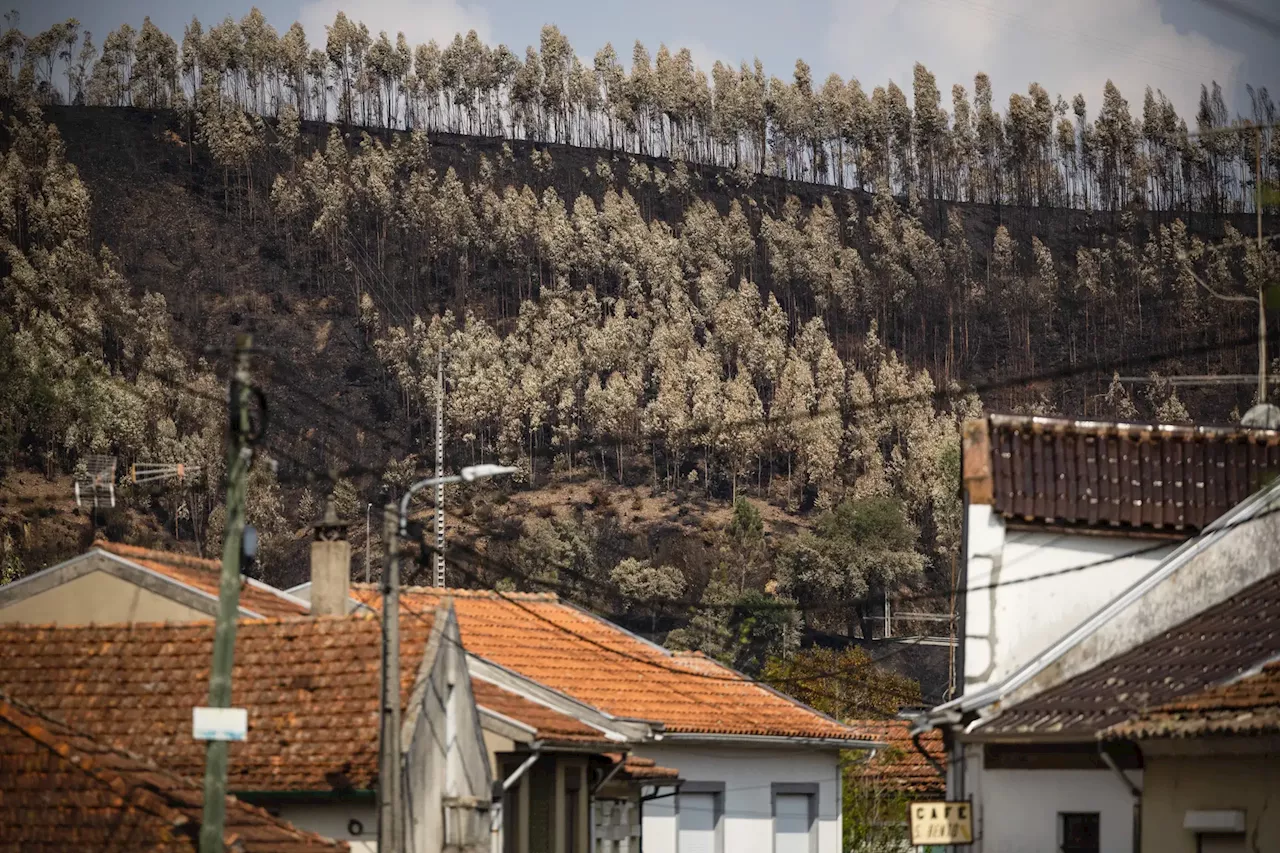 Depois dos incêndios, perigo de derrocadas gera preocupação em Albergaria-a-Velha