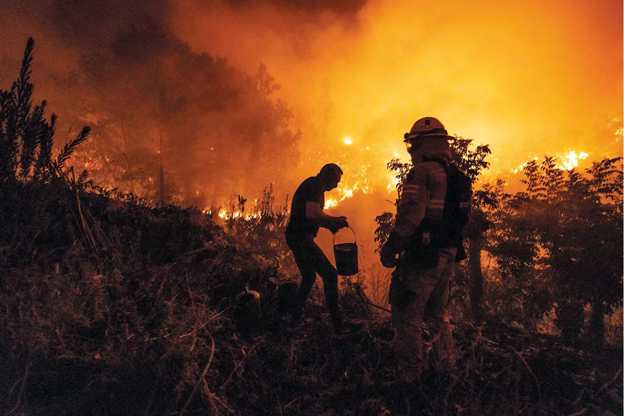 Águas de Aveiro reduz fatura a quem combateu fogos em Albergaria-a-Velha