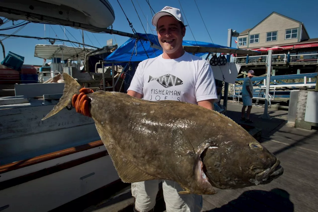 Canada announces deal with France on contentious Atlantic halibut fishery