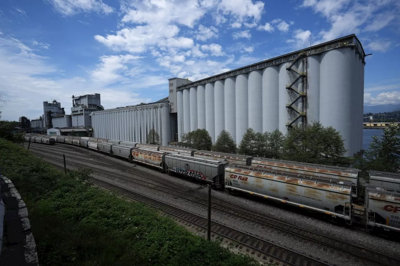 Picket lines go up as strike begins at six grain terminals in Metro Vancouver