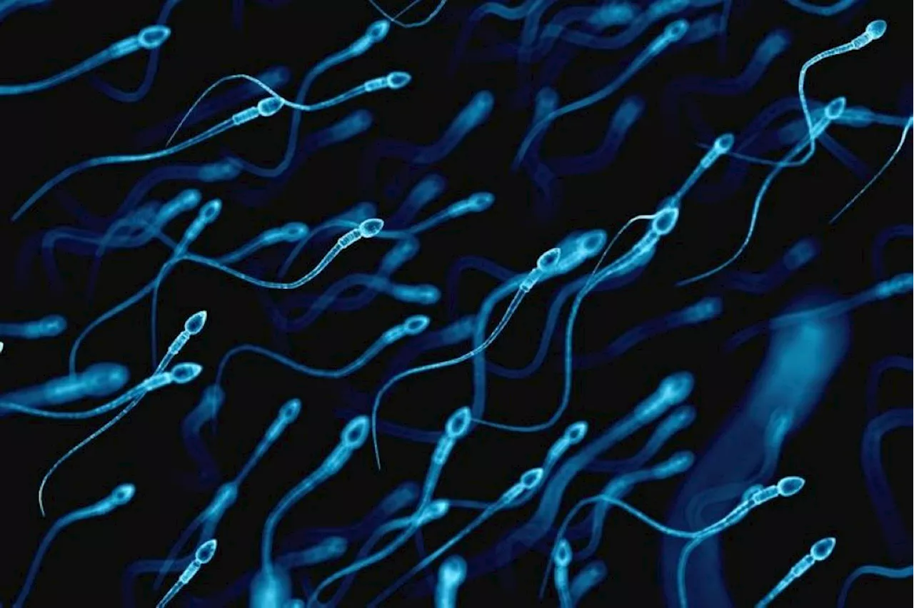 Man, 49, cheated of over RM20,000 in sperm donation scam