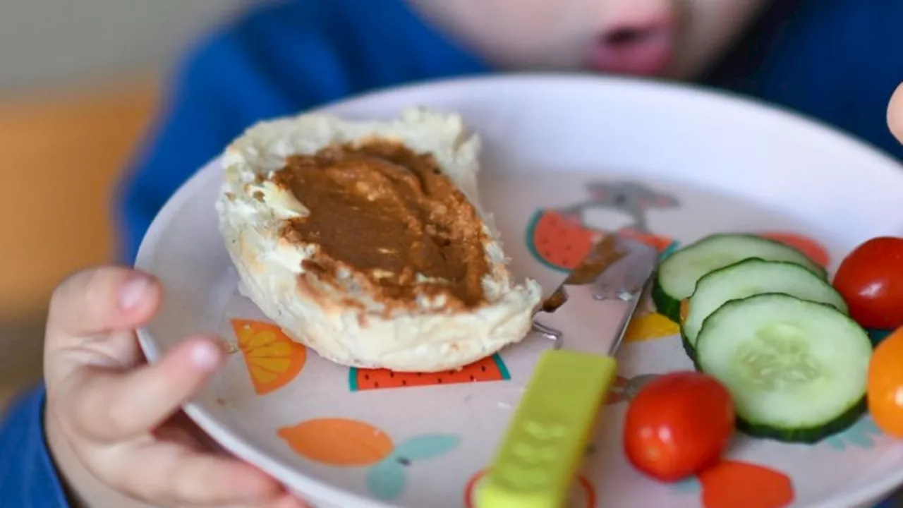 Fleischlos aufwachsen: Vegetarisches Essen für Kinder - gesund oder riskant?