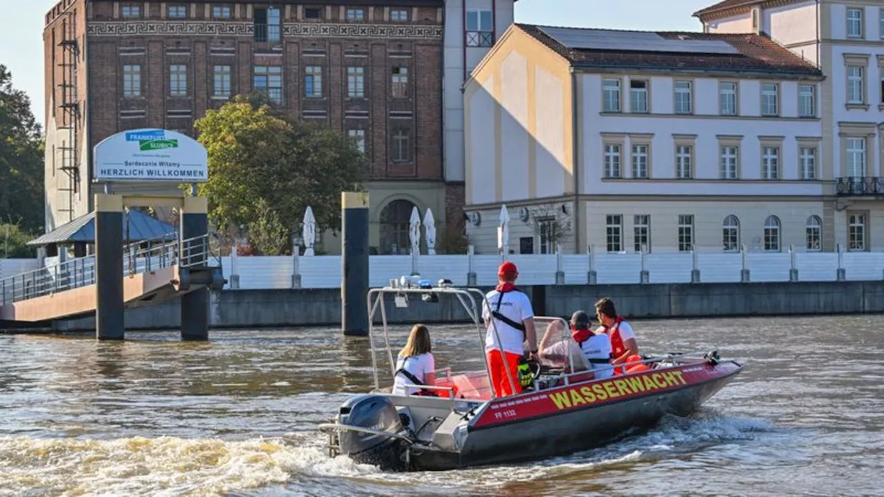 Hochwassergefahr in der Oder: Alarmstufe 4 droht