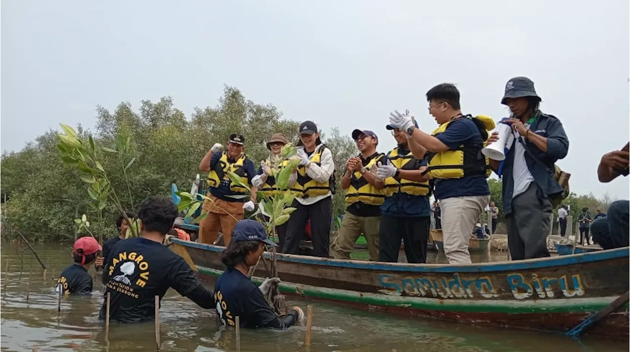 Fishlog Gandeng BPDLH dan UNDP Indonesia Tanam 5.000 Mangrove di Pesisir Muara Gembong