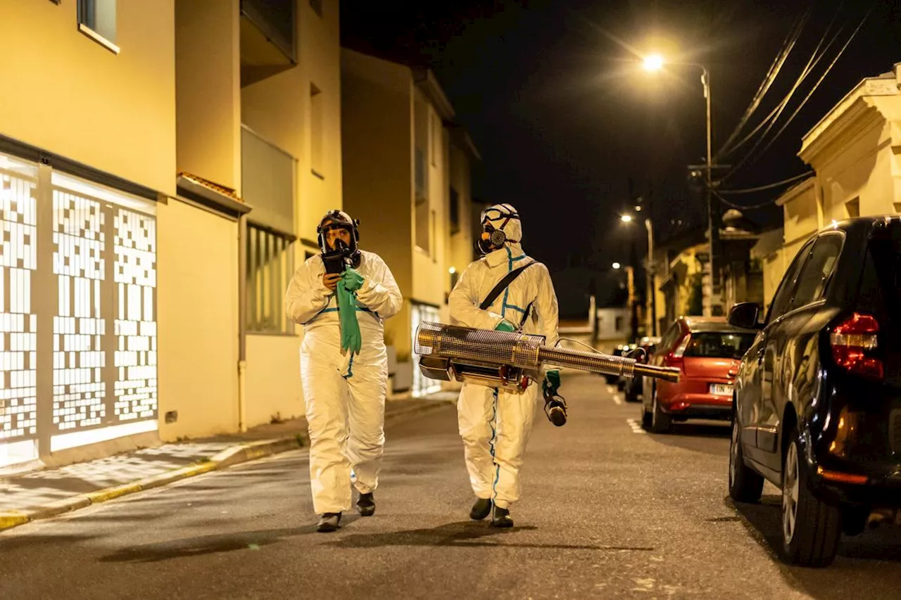 Moustique tigre à Bordeaux : une opération de démoustication à Saint-André