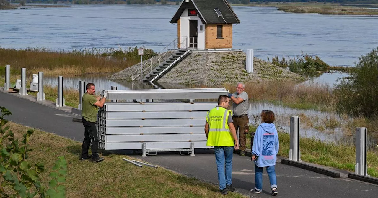 Oder-Hochwasser: Höchste Alarmstufe in Ratzdorf erwartet