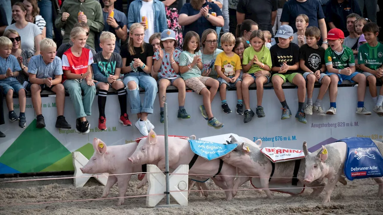 Die Olma «uf Bsuech dihei»: Wissenswertes über die grösste Publikumsmesse der Schweiz