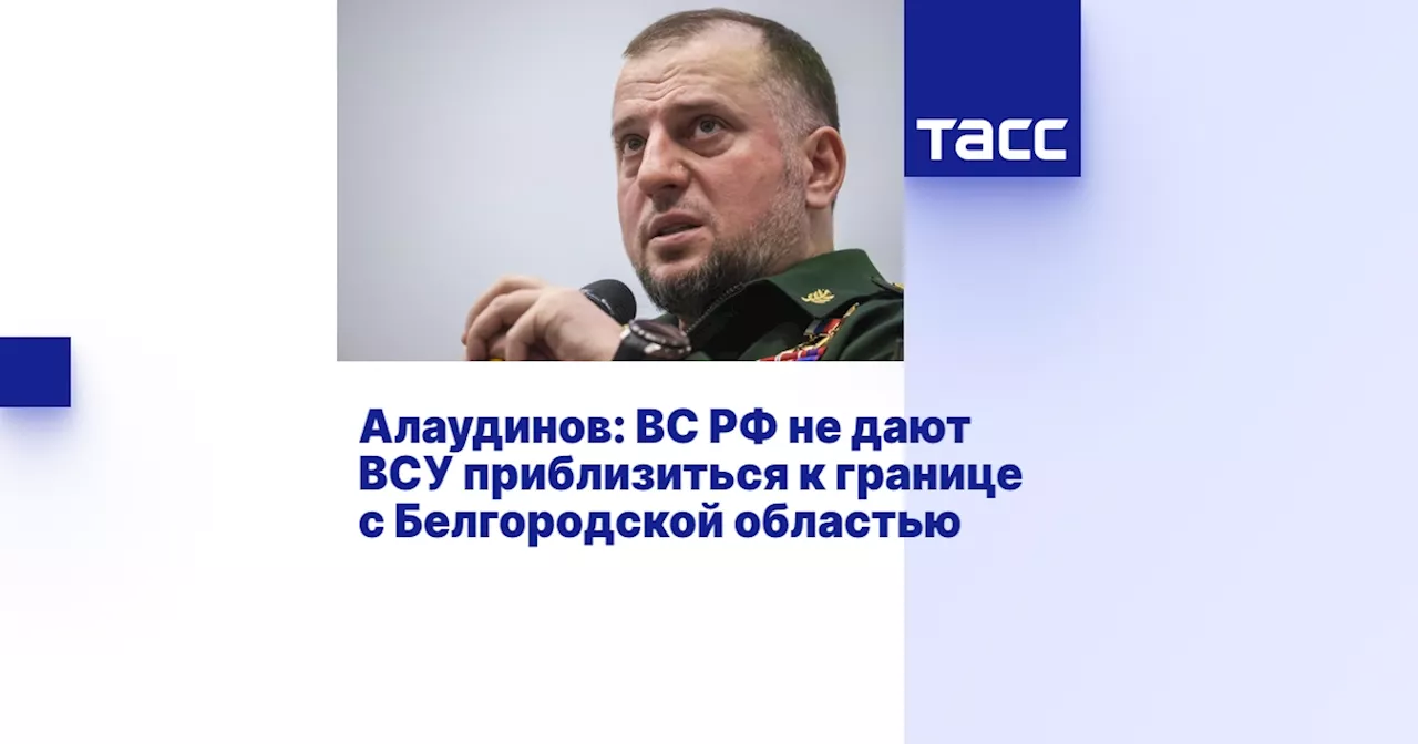 Алаудинов: ВС РФ не дают ВСУ приблизиться к границе с Белгородской областью