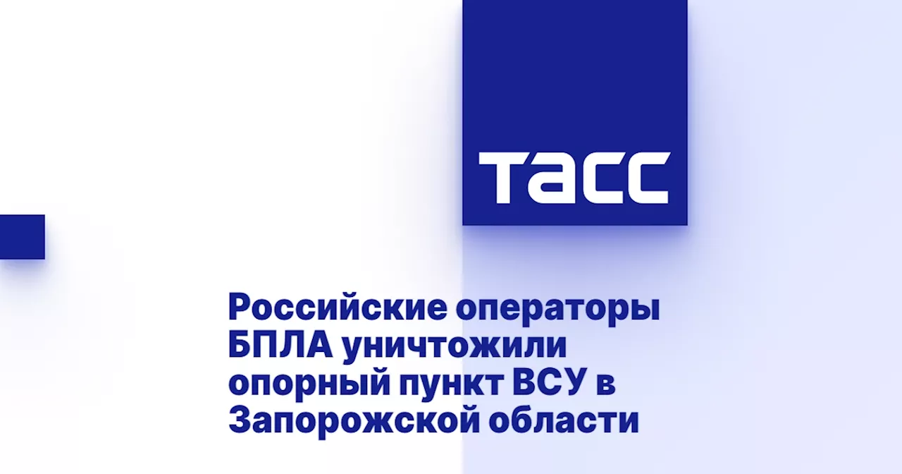 Российские операторы БПЛА уничтожили опорный пункт ВСУ в Запорожской области