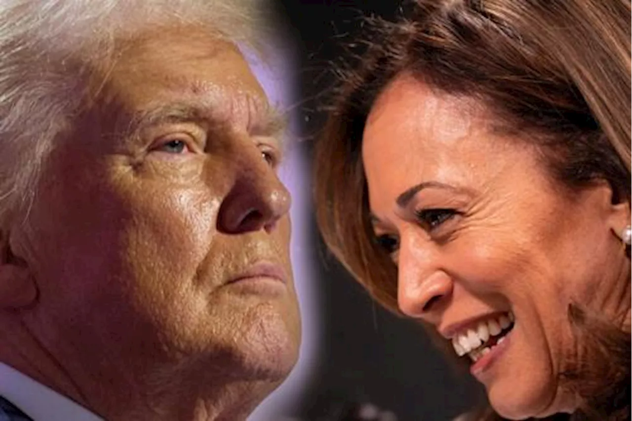 Elezioni Usa, ecco dove Kamala Harris è avanti rispetto a Trump nell'ultimo sondaggio