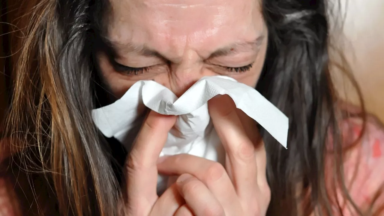 Influenza, arriva il primo vaccino "fai-da-te"