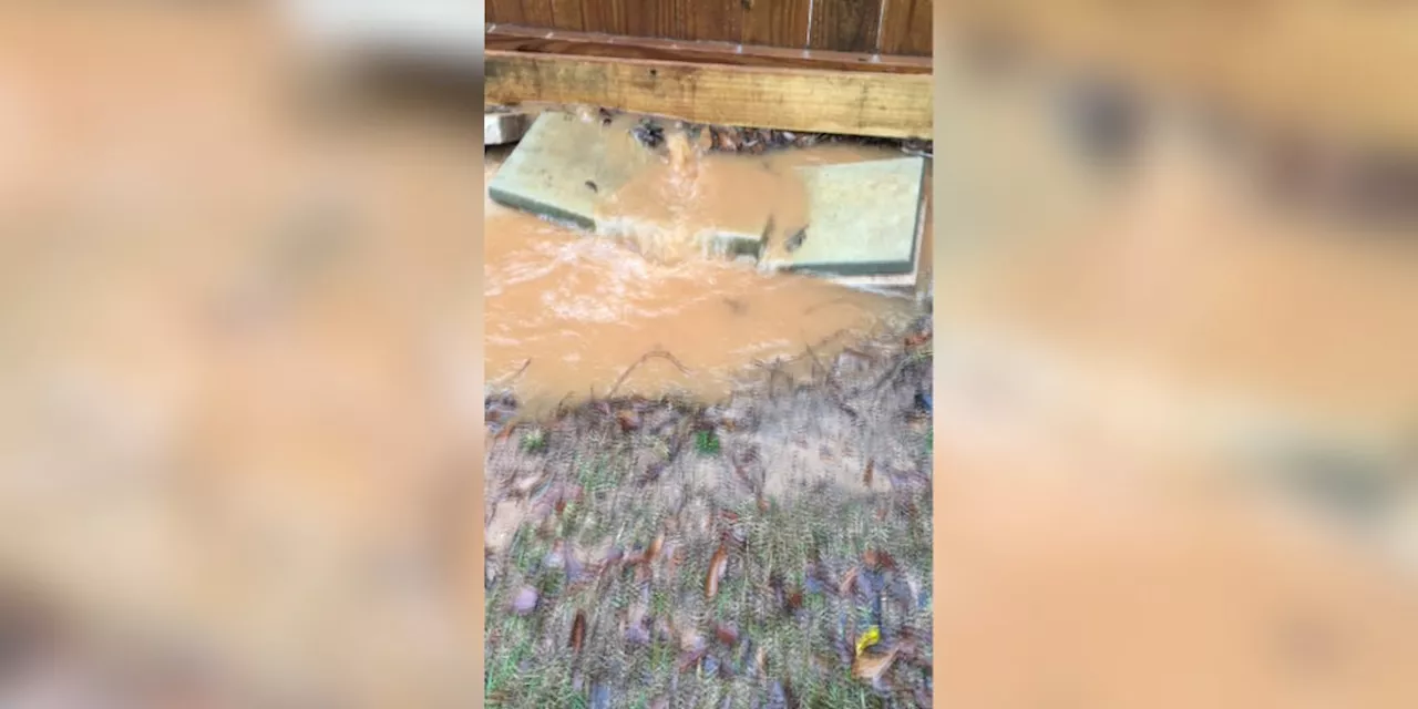 Flooding in Enterprise raises concerns for homeowners