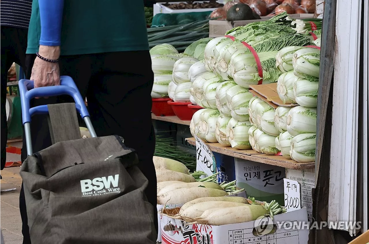 정부, 배춧값 상승에 중국산 배추 수입 추진