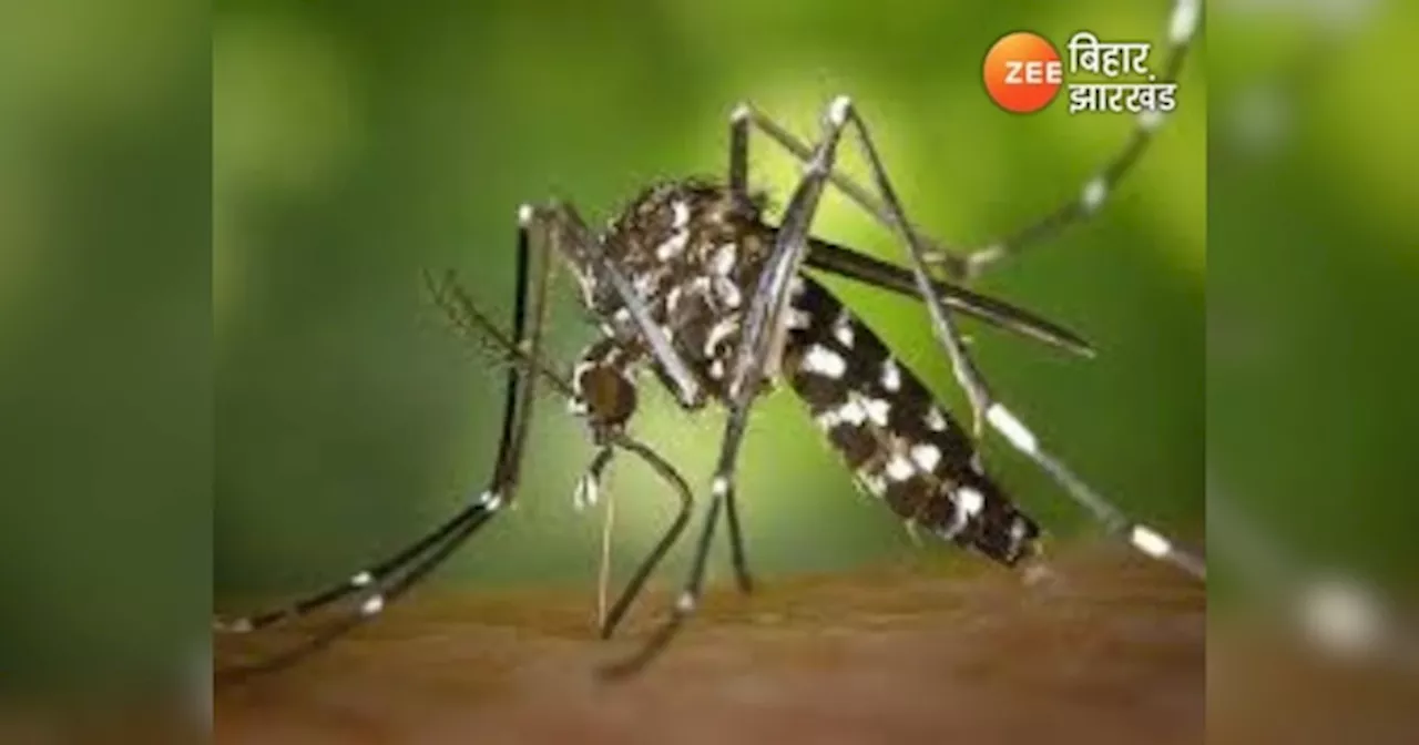 Patna Dengue News: पटना वासी डेंगू से सावधान! NMCH में एक शख्स की मौत, देखें मरीजों का आंकड़ा