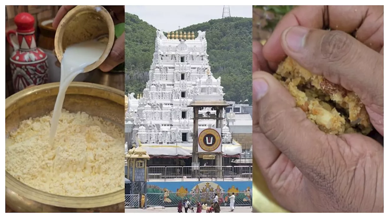 Tirupati Laddu Prasadam: తిరుపతి లడ్డూ ఈజీగా తయారు చేసే విధానం.. 14 మిలియన్లు క్రాస్‌ చేసిన రిసిపీ వీడియో మీకోసం..‌