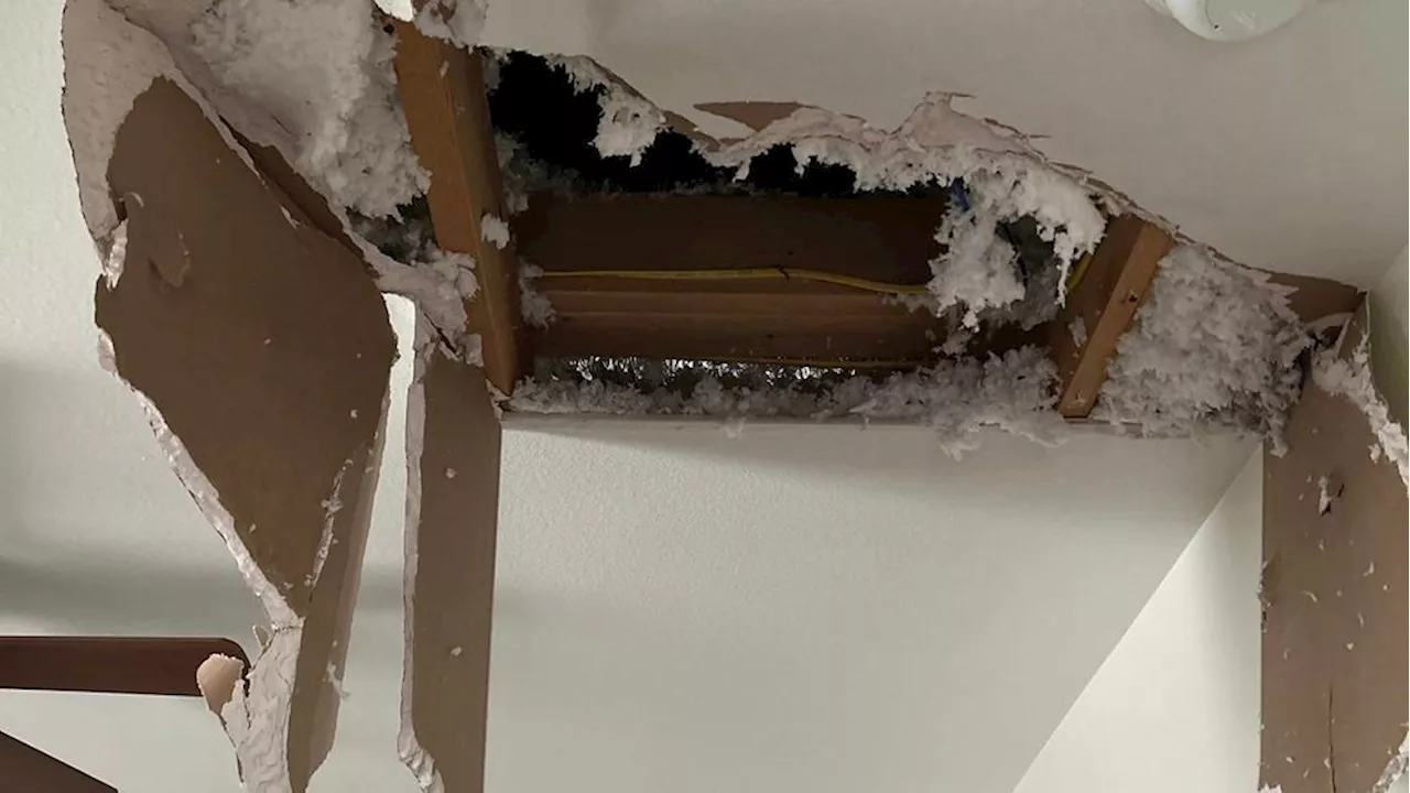 Man arrested for burglary after falling through ceiling trying to escape police