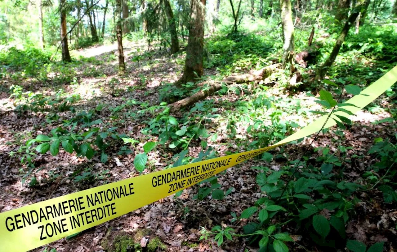 Ardennes : Après les recherches d’Estelle Mouzin, le maire attend un dédommagement pour sa forêt