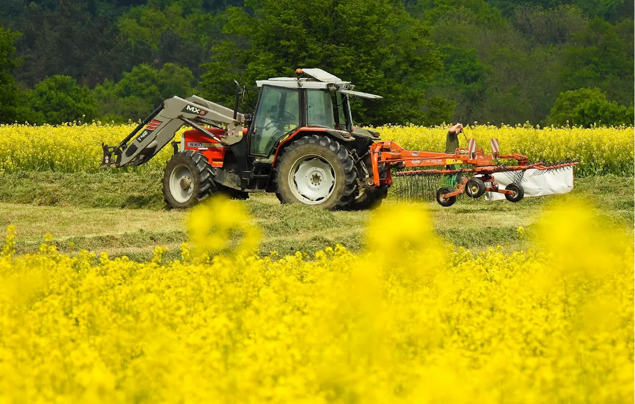 Pyrénées-Atlantiques : Accusé de viols, un agriculteur reste en détention provisoire