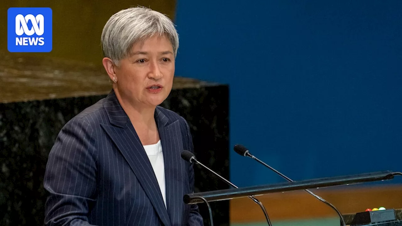 Penny Wong warns 'Lebanon cannot become the next Gaza', as deadly Israel-Hezbollah conflict continues