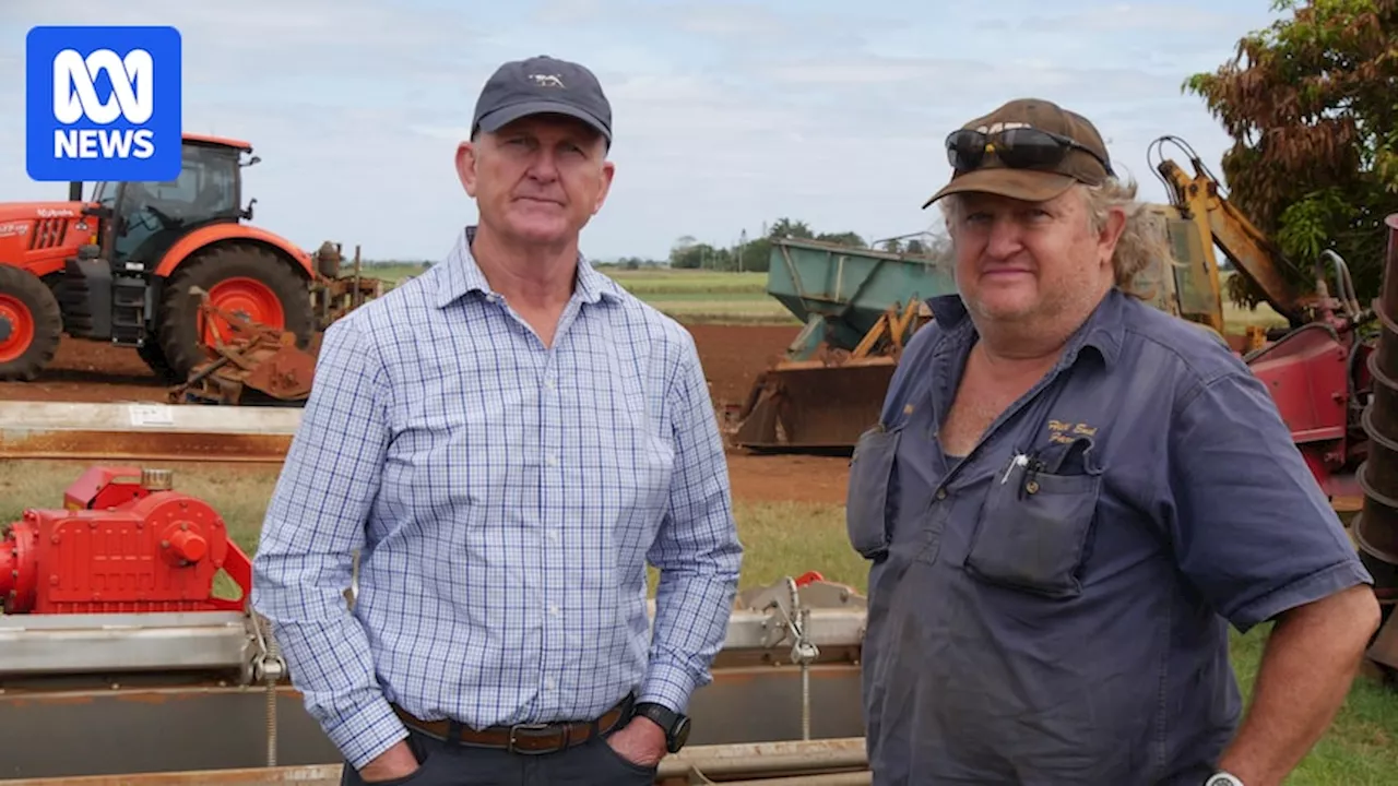 Queensland Food Farmers' Commissioner to take on major supermarkets Coles and Woolworths