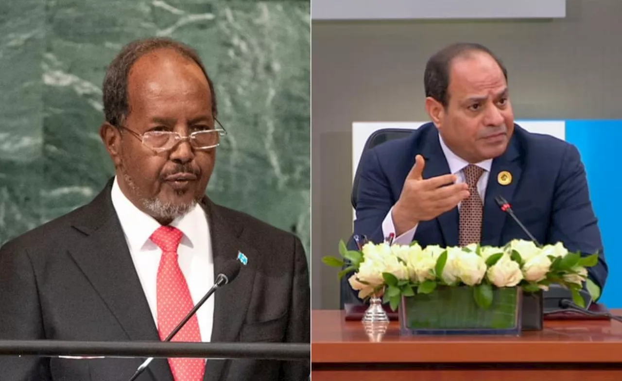 Ethiopia: What Is Driving Egypt's Involvement in the Ethiopia-Somalia Standoff?