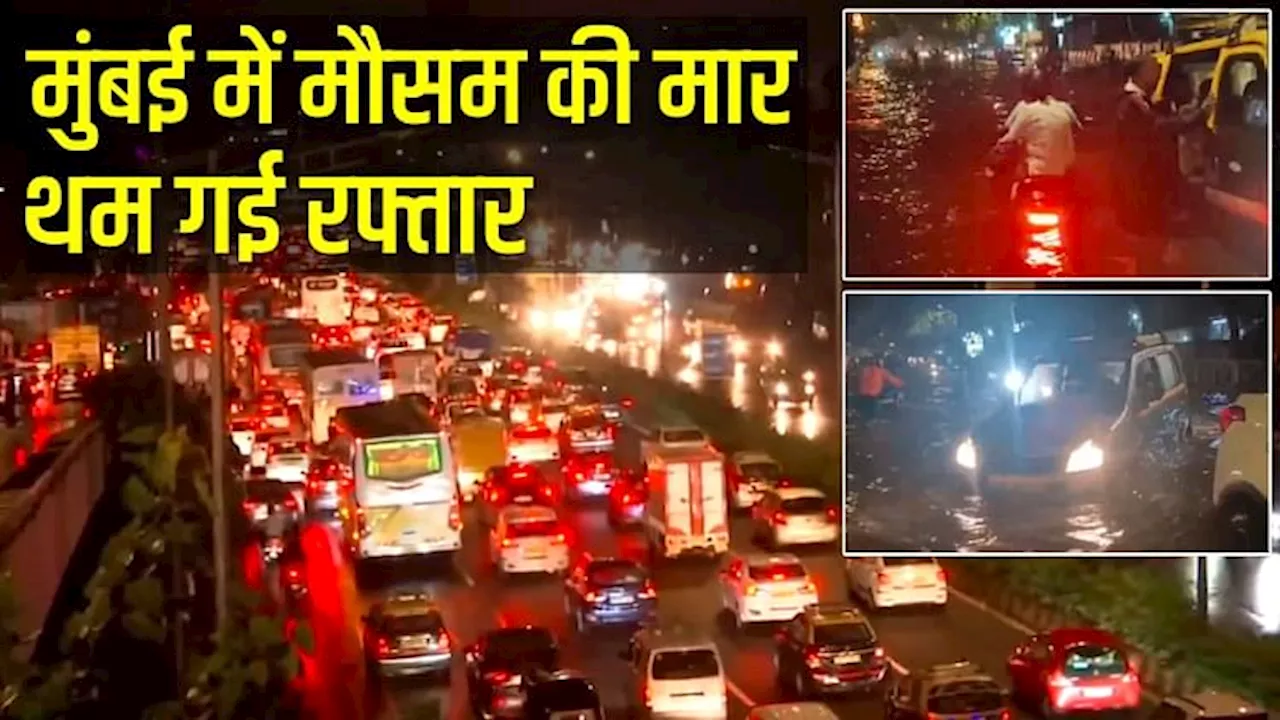 Mumbai Rains: भारी बारिश के कारण जलभराव, मौसम विभाग की चेतावनी जारी; पुणे-पिंपरी चिंचवाड़ में स्कूल-कॉलेज बंद