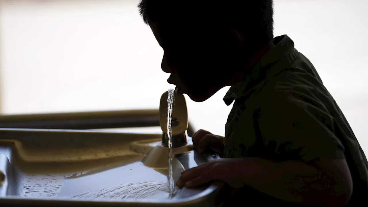 Judge Rules Fluoride in Drinking Water Poses Risk to Children's Intellect