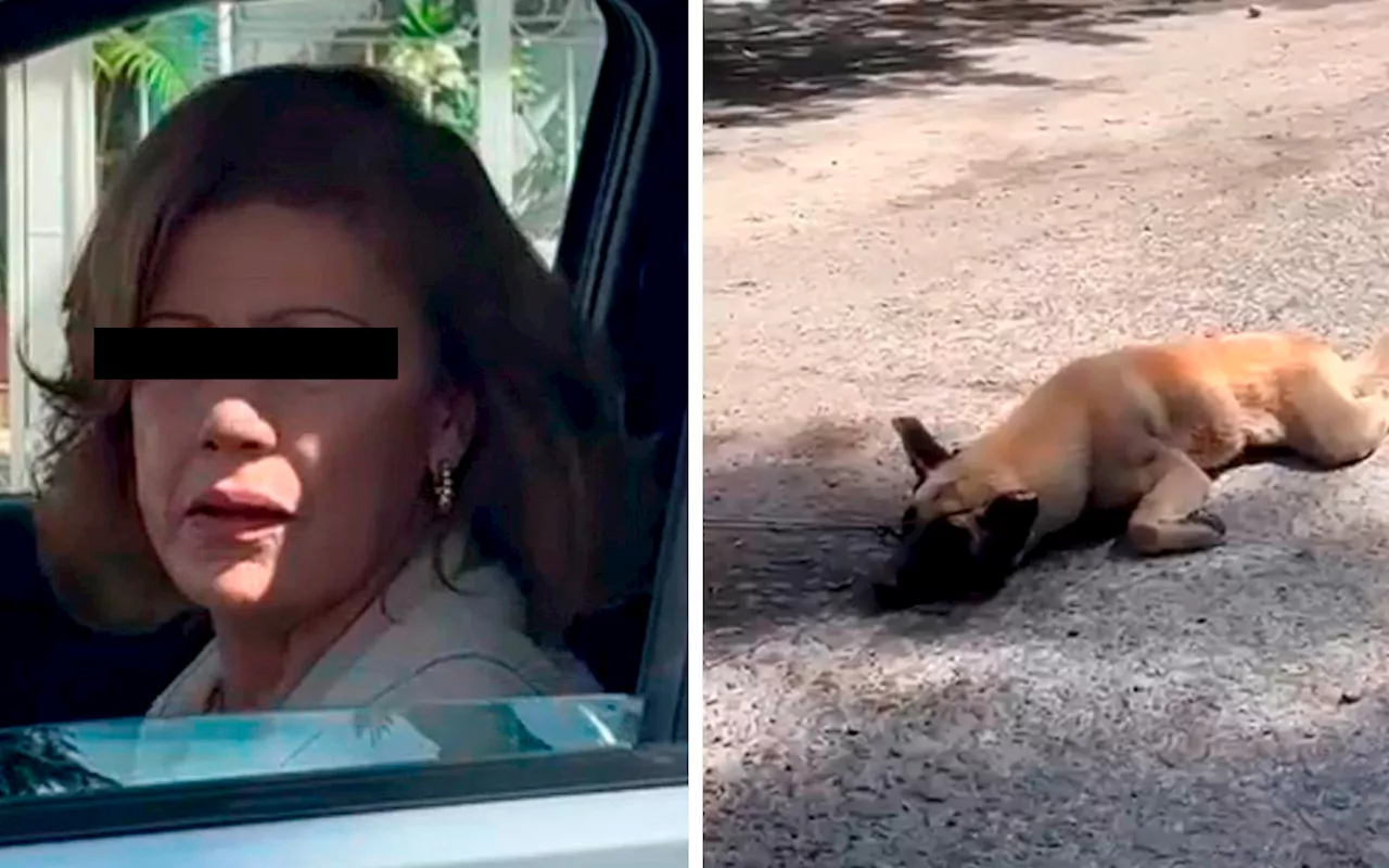 Mujer arrastra a perro con su camioneta en Jalisco; 'me rayó mi camioneta', justifica