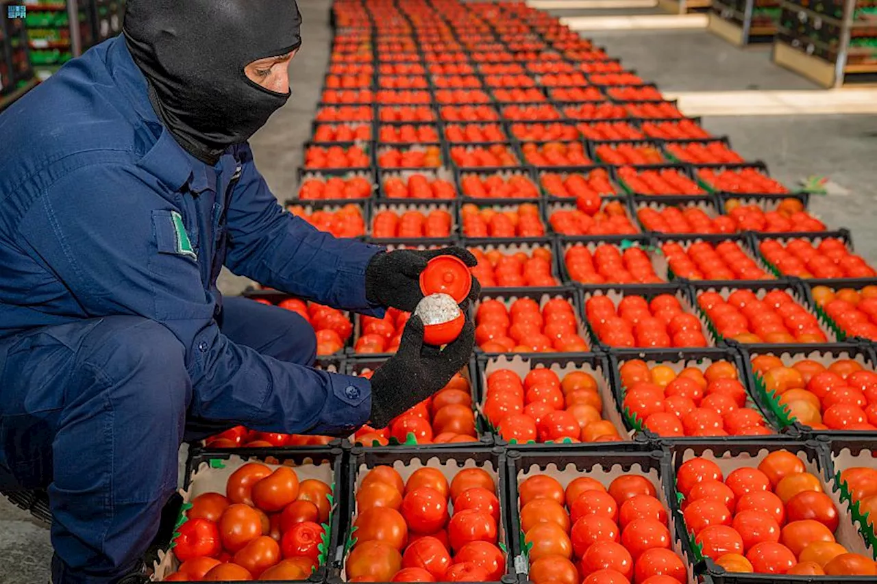 400 % .. سبب ارتفاع سعر كيلو الطماطم بالأسواق.. فيديو