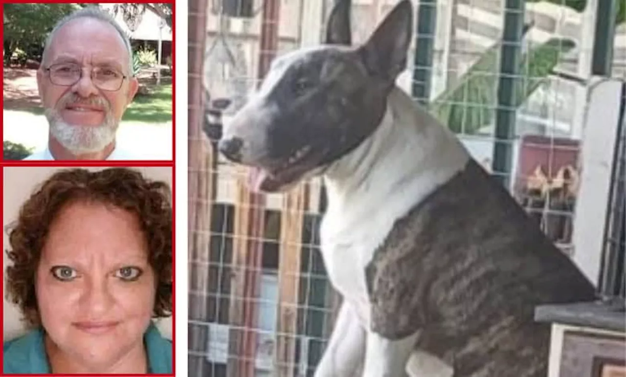 Pastor and Wife To Appeal Bail After Stabbing Bull Terrier 57 Times