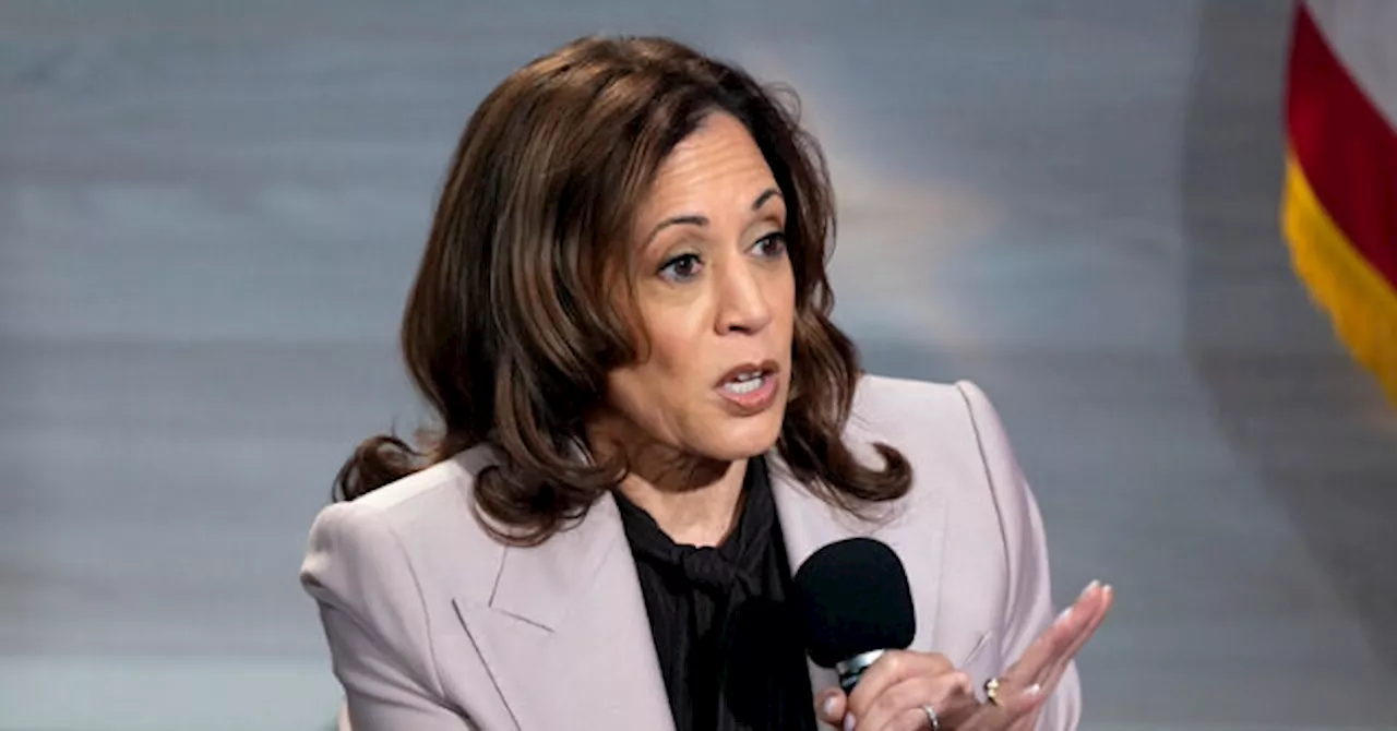 Top Harris Aides Weigh Sending VP To Border Amidst 'Border Czar' Controversy