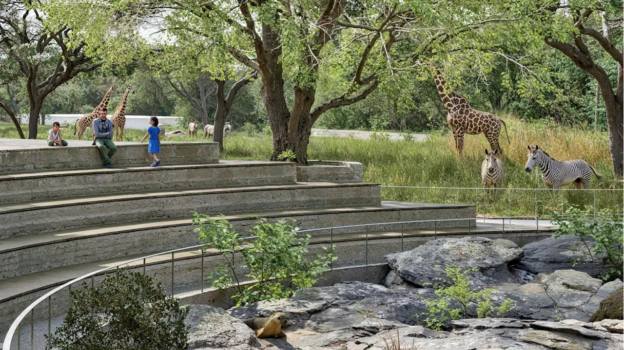 Diese Tiere bleiben, diese kommen neu und diese müssen gehen: Der Zoo Basel stellt seine Pläne bis 2049 vor