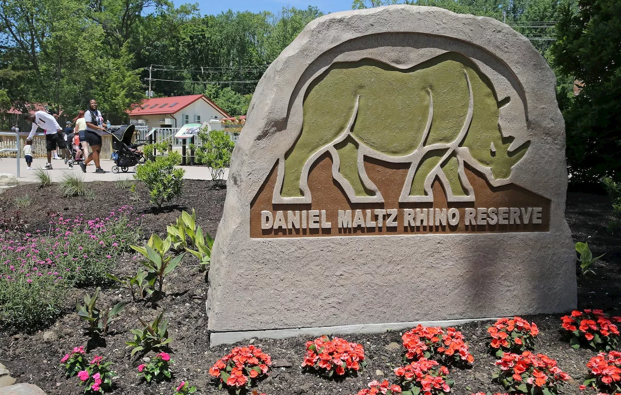 Cleveland Metroparks Zoo welcomes back Eastern black rhino after mothering two calves at Pittsburgh Zoo