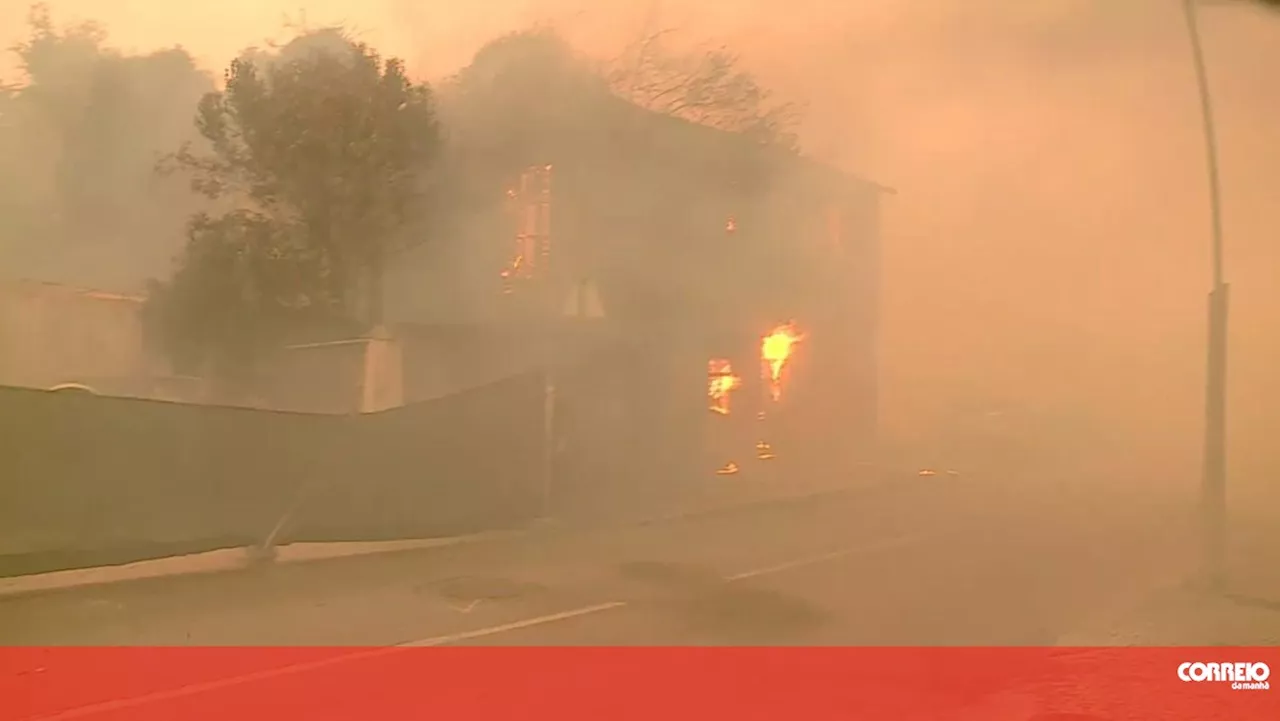 Câmara de Albergaria procura arrendar casas para realojar famílias atingidas pelos incêndios