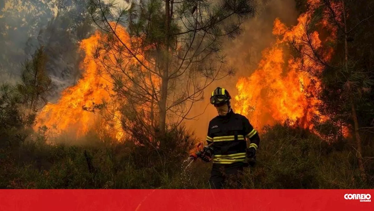 Número de emergência 112 recebeu 9 mil chamadas em cinco dias devido a incêndios