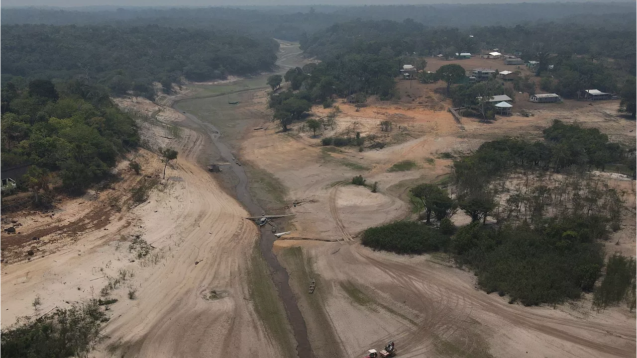 Rio Negro está a menos de dois metros de seca histórica no Amazonas