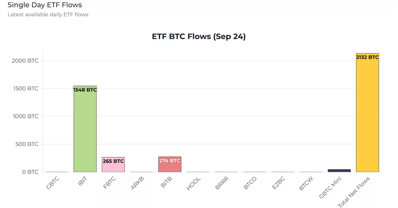 Bitcoin ETFs Remove Nearly Five Times Daily Supply as Ethereum ETFs See Strong Rebound