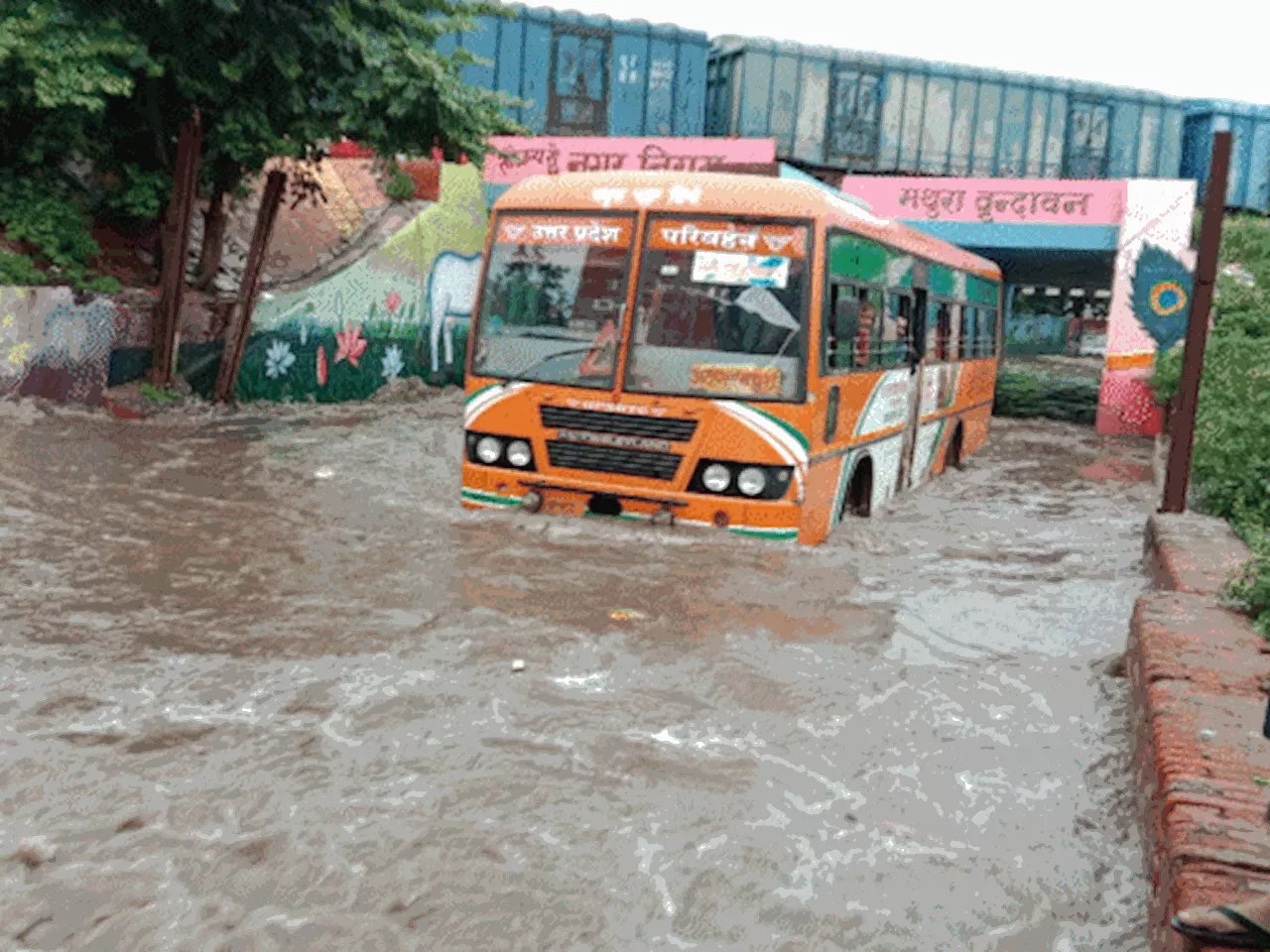 मथुरा में तेज बारिश...तस्वीरों में देखिए शहर का हाल: अंडरपास में जलभराव, बस आधी डूबी; रजिस्ट्री ऑफिस में दा...