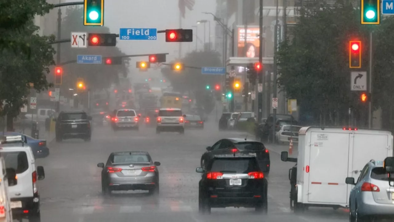 Dallas weather: Wednesday storms some downed trees, power outages