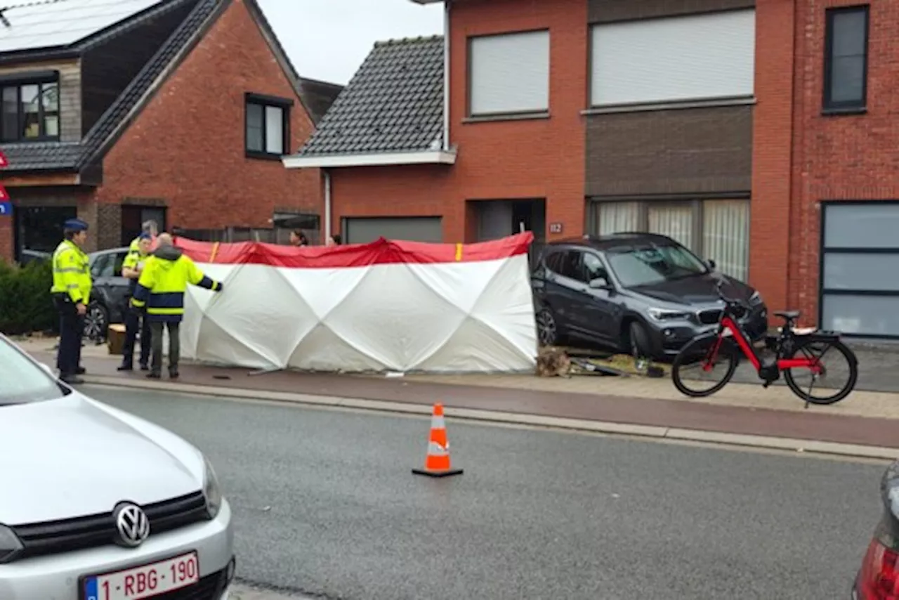 Voetganger overleden nadat wagen uit de bocht is gevlogen en ravage aanricht