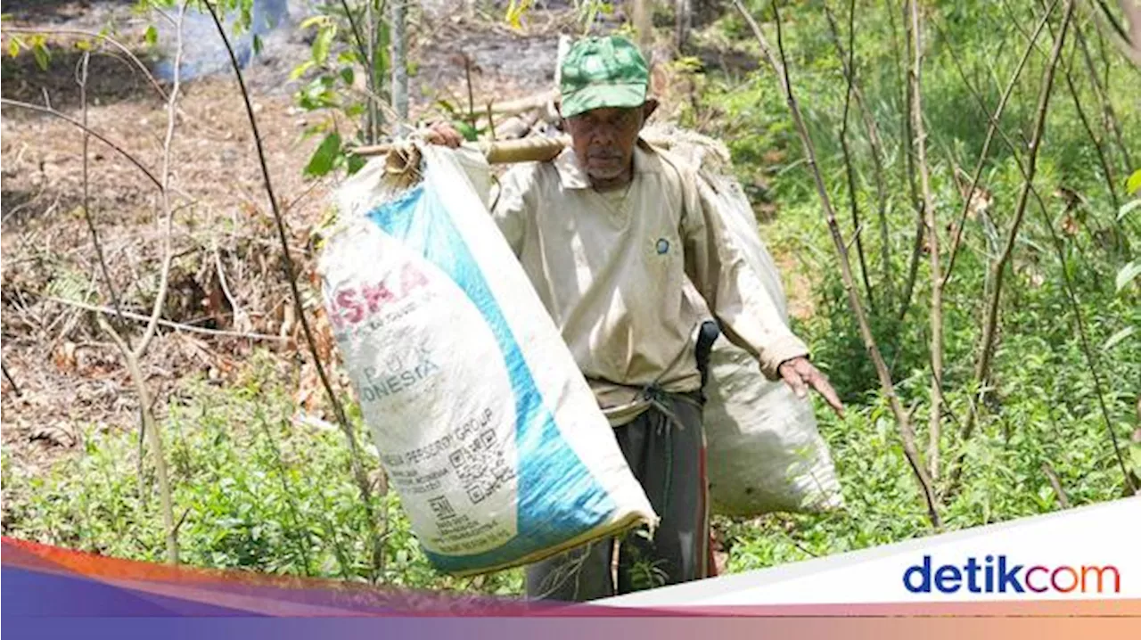 Besok! PLN Resmikan Pengembangan Ekosistem Biomassa di Tasikmalaya