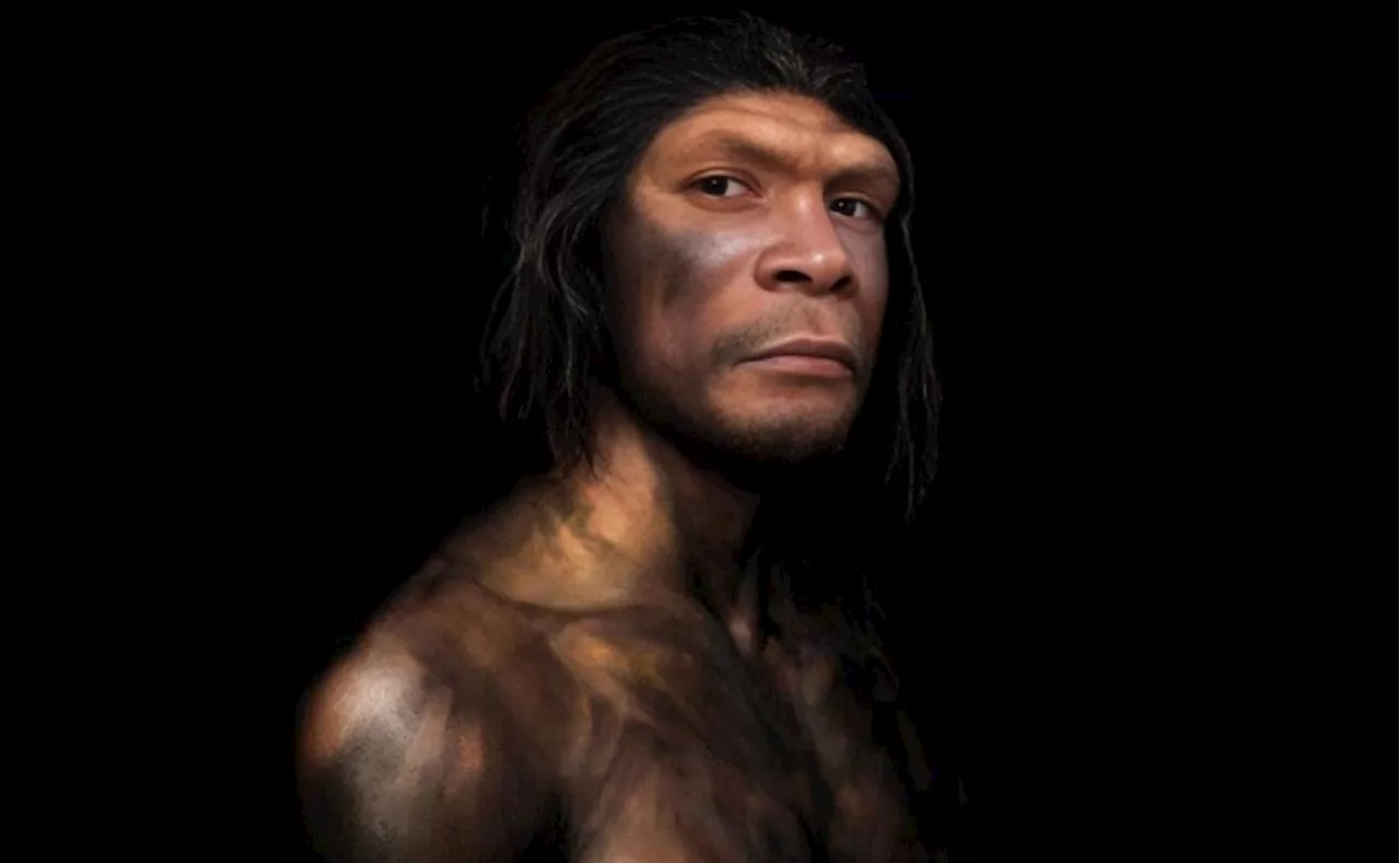 Descubre la particular razón por la que se extinguieron los neandertales, según la ciencia