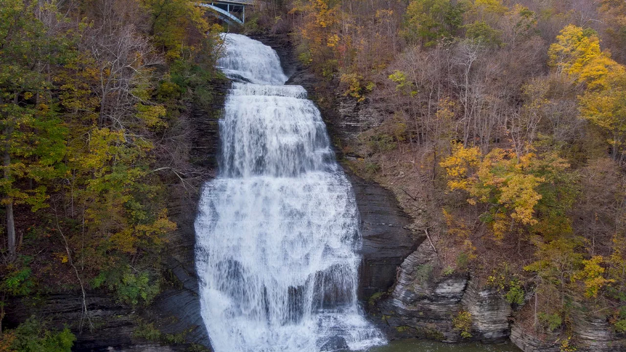 New York's fall foliage is here: AAA's guide to planning your next getaway