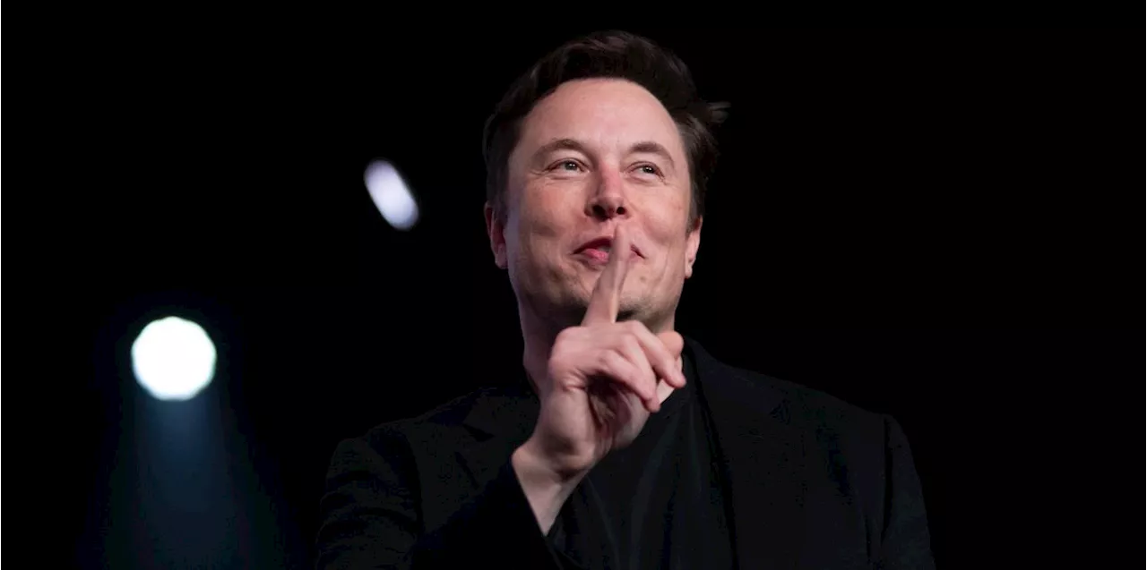 Elon Musks Spacex, Starlink, Tesla oder xAI