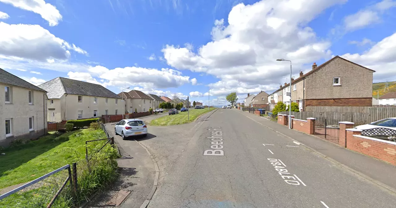 Vicious dog attack in Clydebank leaves pensioner in hospital and her small pet injured