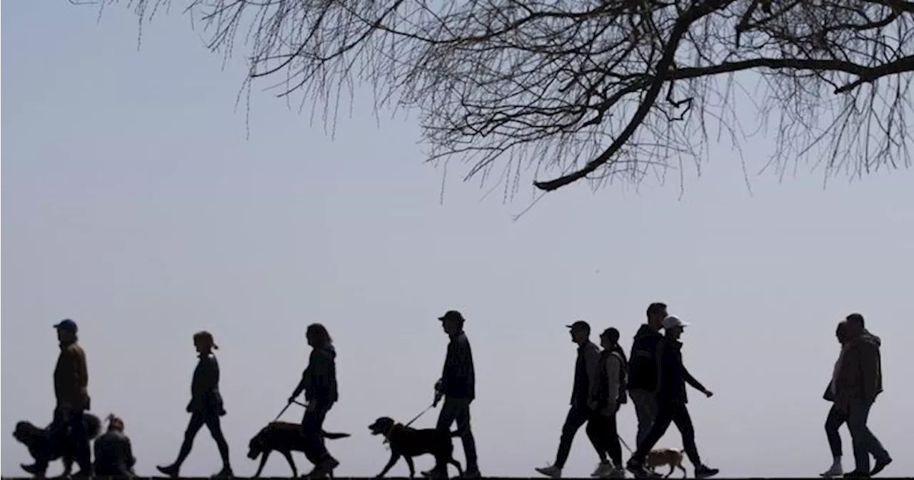 Canada’s population growth slows for 1st time since pandemic: StatsCan