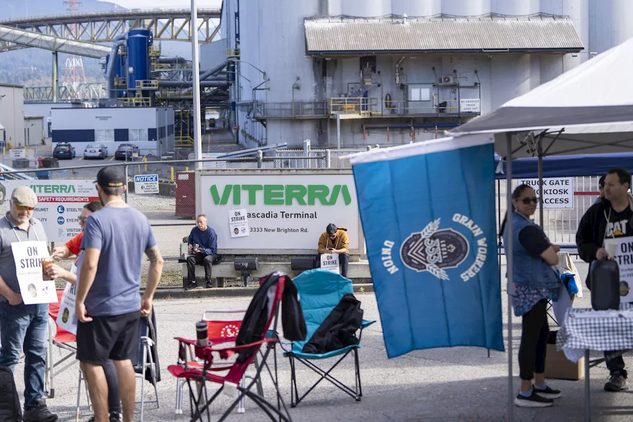 Strike at Vancouver grain terminals leaves ships at anchor