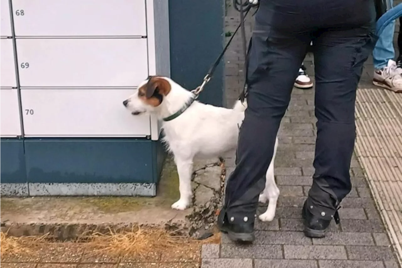 Politie zet controle na station voort in stadspark en De Bogaard