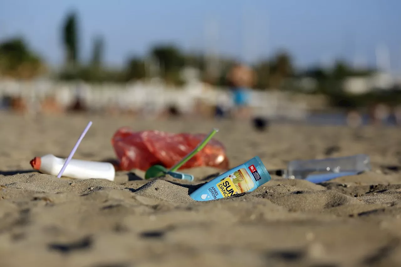 Mikroplastik an deutschen Stränden: Belastung geringer als gedacht